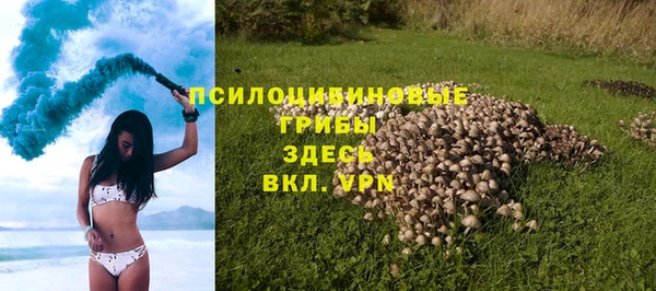 ГАЛЛЮЦИНОГЕННЫЕ ГРИБЫ Балахна