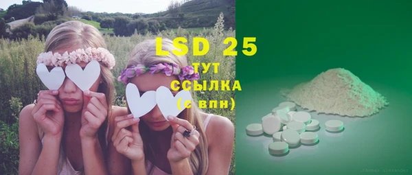 ГАЛЛЮЦИНОГЕННЫЕ ГРИБЫ Балахна