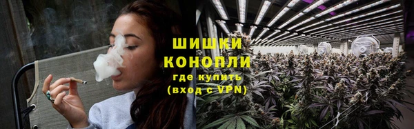 ГАЛЛЮЦИНОГЕННЫЕ ГРИБЫ Балахна