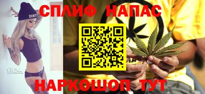 мдпв Жуковский