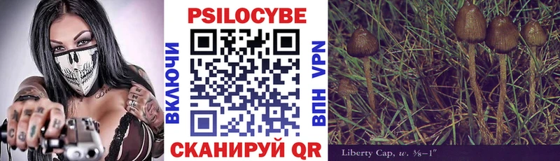 Псилоцибиновые грибы Cubensis  omg сайт  Заринск 